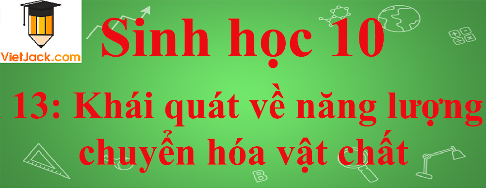 Sinh học lớp 10 Bài 13: Khái quát về năng lượng và chuyển hóa vật chất ngắn nhất