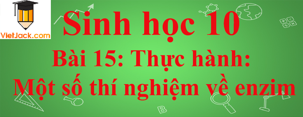 Sinh học lớp 10 Bài 15: Thực hành: Một số thí nghiệm về enzim ngắn nhất