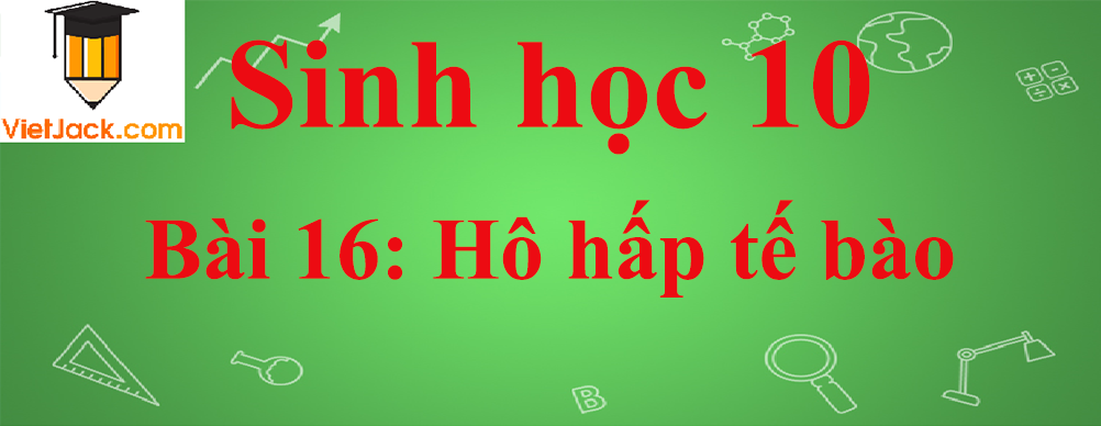 Sinh học lớp 10 Bài 16: Hô hấp tế bào ngắn nhất