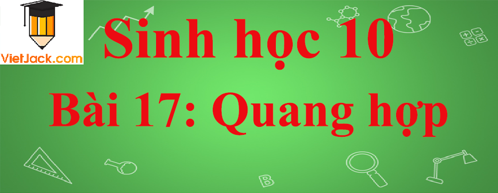 Sinh học lớp 10 Bài 17: Quang hợp ngắn nhất