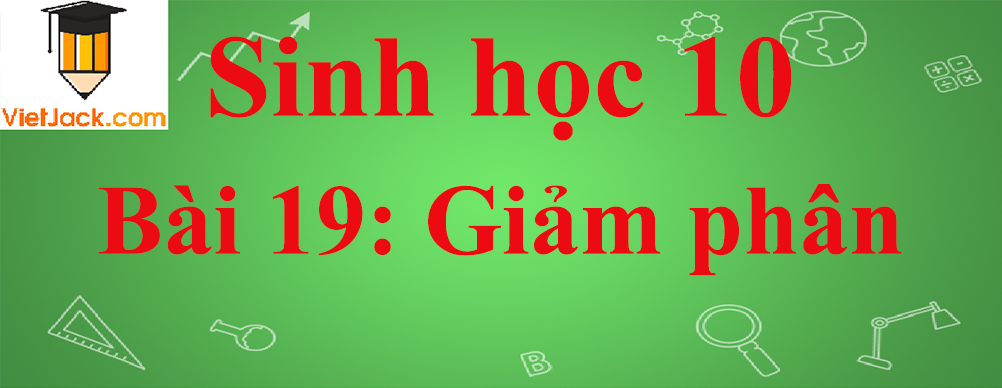 Sinh học lớp 10 Bài 19: Giảm phân ngắn nhất