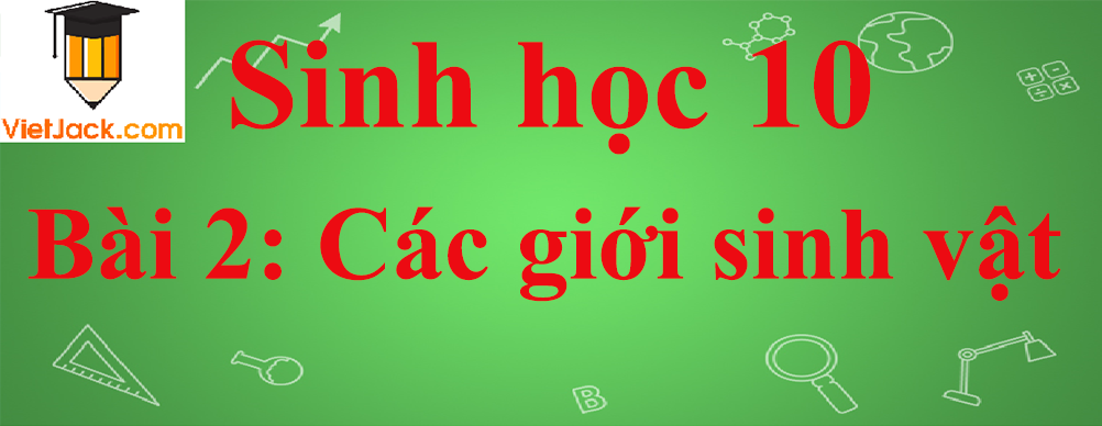 Sinh học lớp 10 Bài 2: Các giới sinh vật ngắn nhất