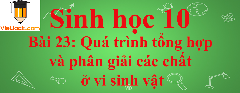 Sinh học lớp 10 Bài 23: Quá trình tổng hợp và phân giải các chất ở vi sinh vật ngắn nhất