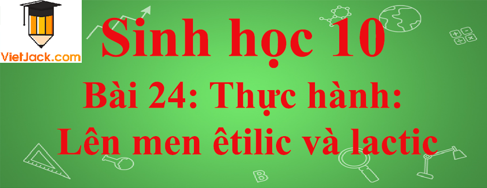 Sinh học lớp 10 Bài 24: Thực hành: Lên men êtilic và lactic ngắn nhất