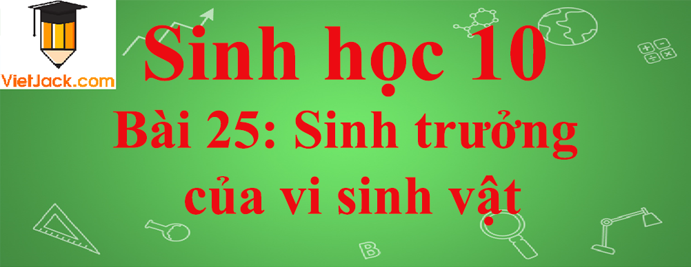 Sinh học lớp 10 Bài 25: Sinh trưởng của vi sinh vật ngắn nhất