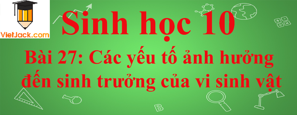 Sinh học lớp 10 Bài 27: Các yếu tố ảnh hưởng đến sinh trưởng của vi sinh vật ngắn nhất