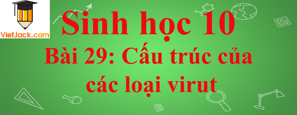 Sinh học lớp 10 Bài 29: Cấu trúc của các loại virut ngắn nhất