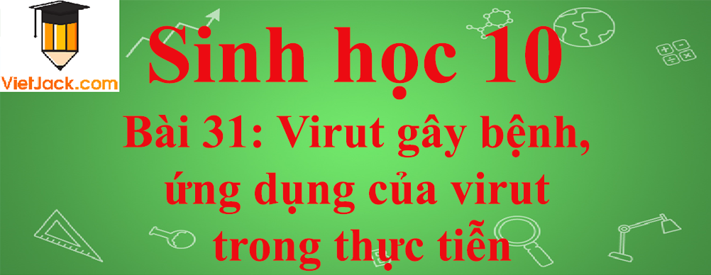 Sinh học lớp 10 Bài 31: Virut gây bệnh, ứng dụng của virut trong thực tiễn ngắn nhất