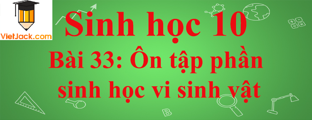 Sinh học lớp 10 Bài 33: Ôn tập phần sinh học vi sinh vật ngắn nhất