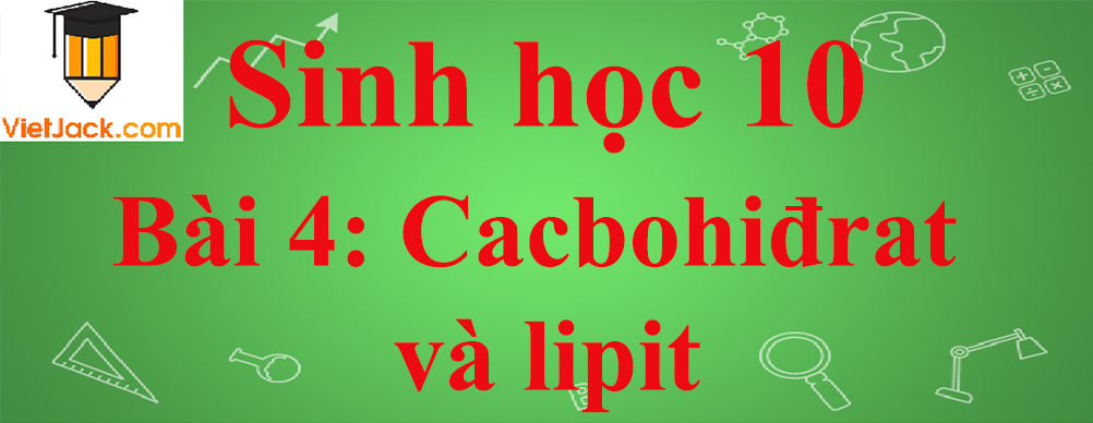 Sinh học lớp 10 Bài 4: Cacbohiđrat và lipit ngắn nhất