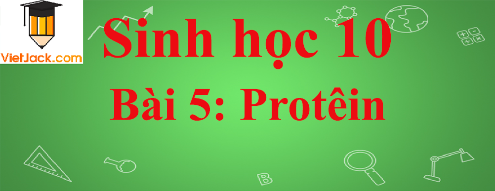 Sinh học lớp 10 Bài 5: Protêin ngắn nhất