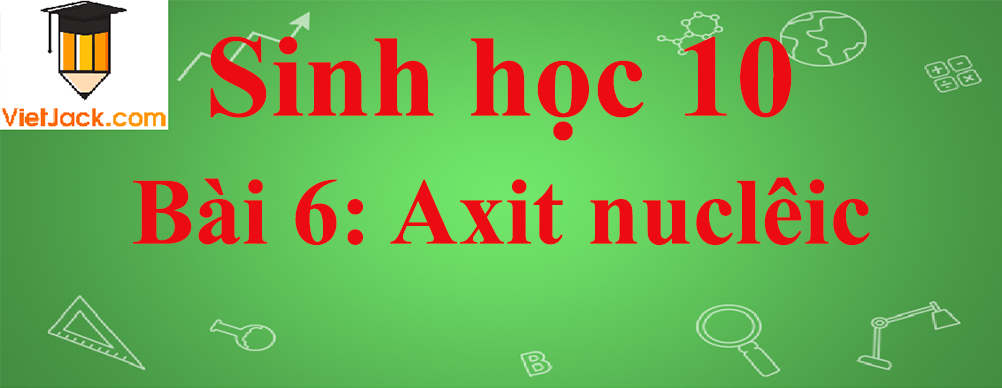 Sinh học lớp 10 Bài 6: Axit nuclêic ngắn nhất