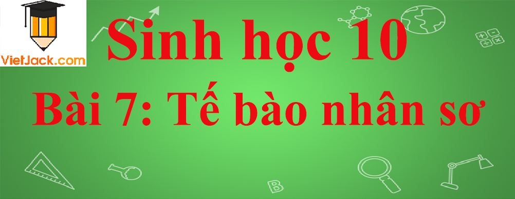 Sinh học lớp 10 Bài 7: Tế bào nhân sơ ngắn nhất