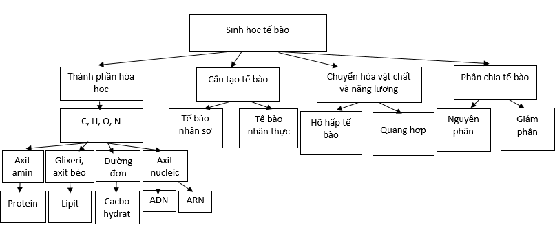 Giải bài tập Sinh học 10 | Trả lời câu hỏi Sinh 10