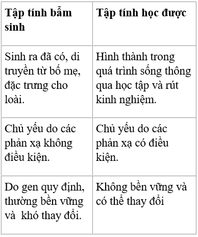 Ôn tập chương II, III, IV - Sinh học 11