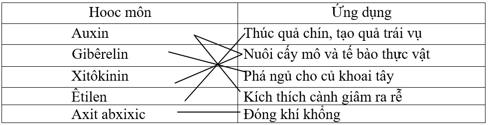 Ôn tập chương II, III, IV - Sinh học 11