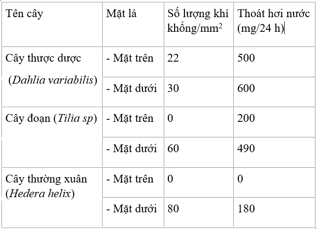 Trả lời câu hỏi Sinh học 11 Bài 3 trang 17