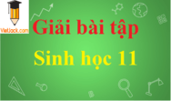 Sinh học 11 (sách mới) | Giải sgk Sinh 11 (sách mới)