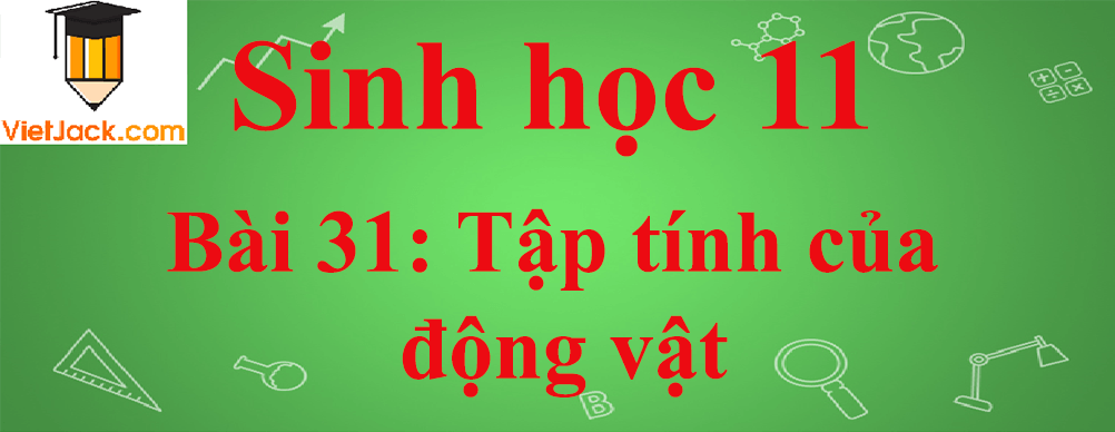 Sinh học lớp 11 Bài 31 ngắn nhất: Tập tính của động vật