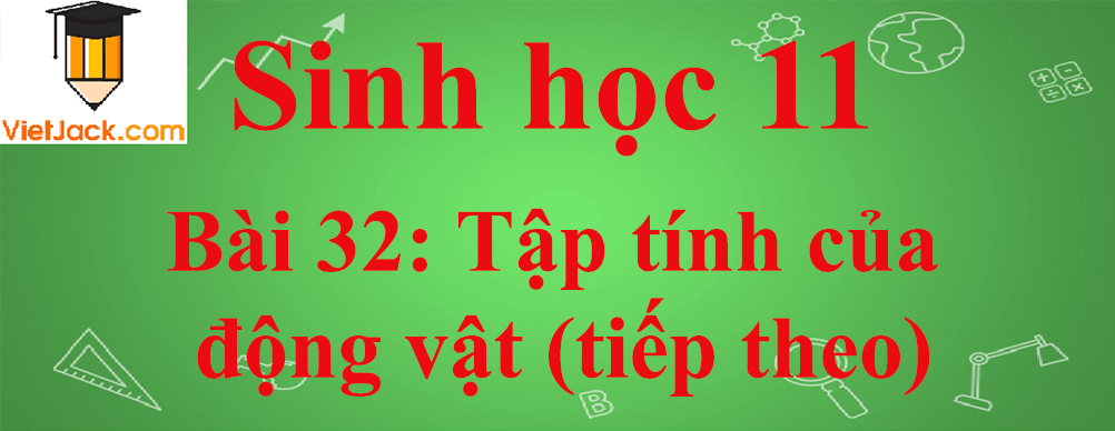 Sinh học lớp 11 Bài 32 ngắn nhất: Tập tính của động vật (tiếp theo)