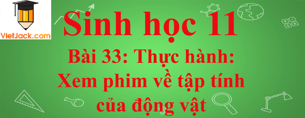 Sinh học lớp 11 Bài 33 ngắn nhất: Thực hành: Xem phim về tập tính của động vật