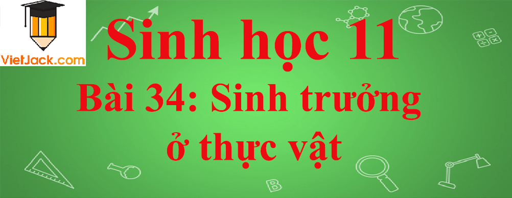 Sinh học lớp 11 Bài 34 ngắn nhất: Sinh trưởng ở thực vật