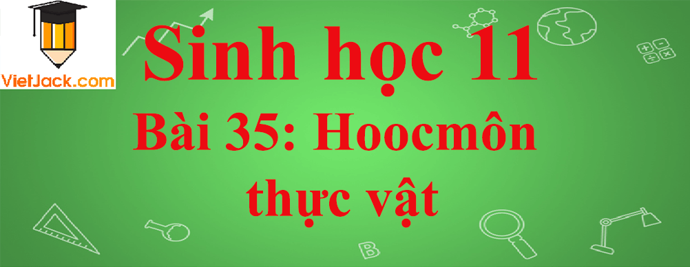 Sinh học lớp 11 Bài 35 ngắn nhất: Hoocmôn thực vật