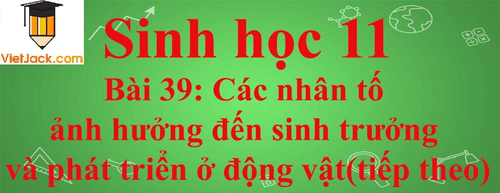 Sinh học lớp 11 Bài 39 ngắn nhất: Các nhân tố ảnh hưởng đến sinh trưởng và phát triển ở động vật (tiếp theo)