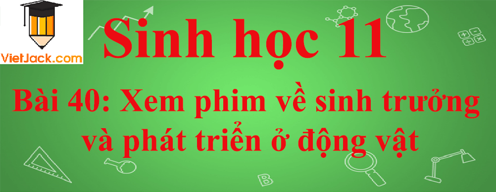 Sinh học lớp 11 Bài 40 ngắn nhất: Thực hành: Xem phim về sinh trưởng và phát triển ở động vật