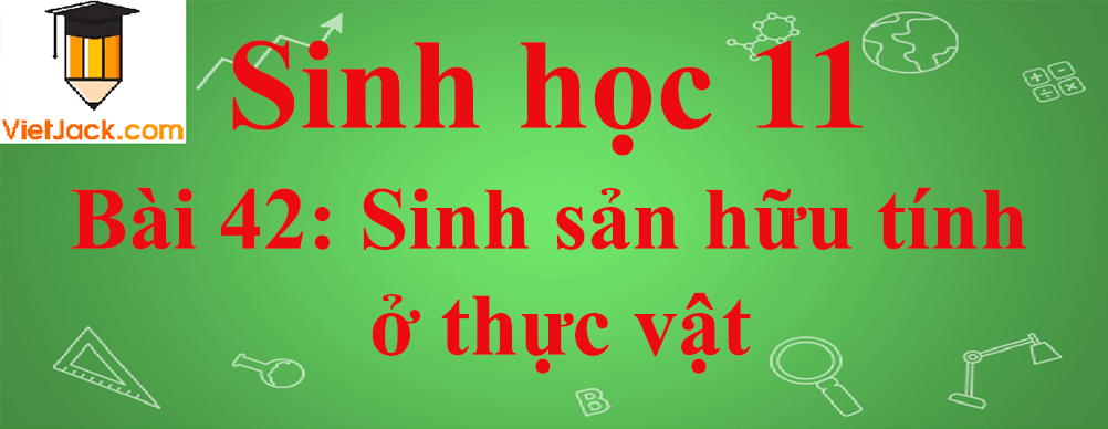 Sinh học lớp 11 Bài 42 ngắn nhất: Sinh sản hữu tính ở thực vật