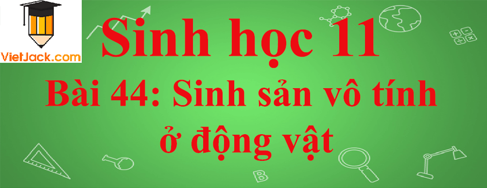 Sinh học lớp 11 Bài 44 ngắn nhất: Sinh sản vô tính ở động vật