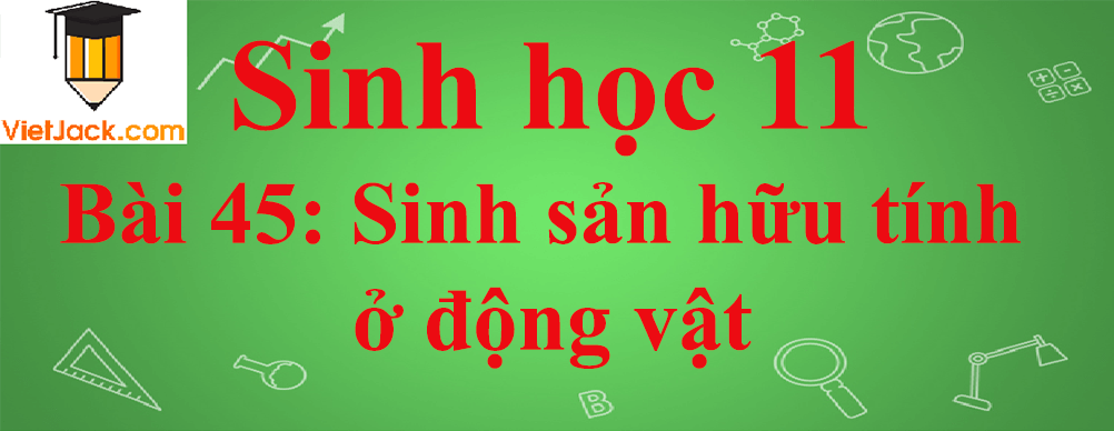 Sinh học lớp 11 Bài 45 ngắn nhất: Sinh sản hữu tính ở động vật