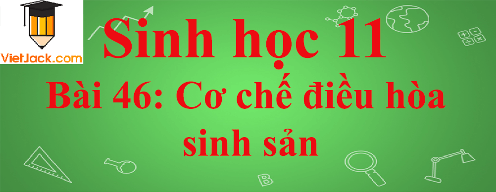 Sinh học lớp 11 Bài 46 ngắn nhất: Cơ chế điều hòa sinh sản