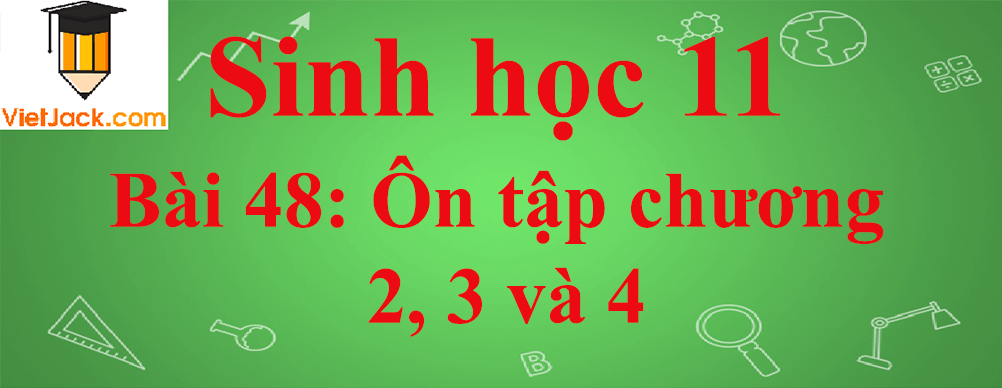 Sinh học lớp 11 Bài 48 ngắn nhất: Ôn tập chương 2, 3 và 4