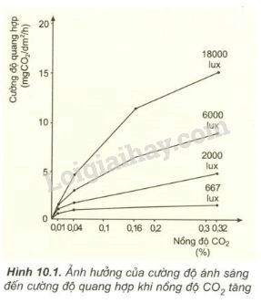 Trả lời câu hỏi Sinh học 11 Bài 10 trang 44