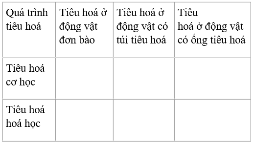 Trả lời câu hỏi Sinh học 11 Bài 22 trang 95