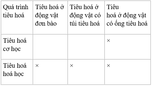 Trả lời câu hỏi Sinh học 11 Bài 22 trang 95