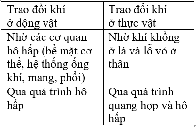 Trả lời câu hỏi Sinh học 11 Bài 22 trang 95