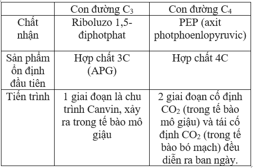 Trả lời câu hỏi Sinh học 11 Bài 9 trang 42