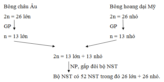 Giải bài tập Sinh học 12 | Để học tốt Sinh 12