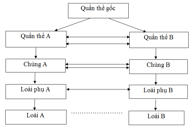 Giải bài tập Sinh học 12 | Để học tốt Sinh 12