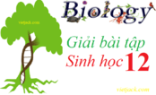 Giải bài tập Sinh 12 | Trả lời câu hỏi Sinh học 12