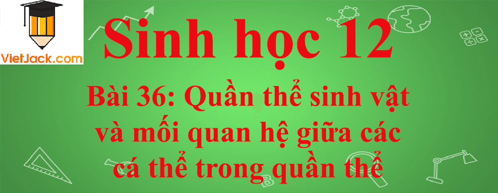 Sinh học lớp 12 Bài 36 (ngắn nhất): Quần thể sinh vật và mối quan hệ giữa các cá thể trong quần thể