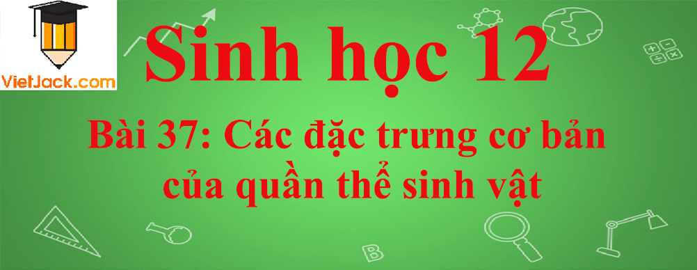 Sinh học lớp 12 Bài 37 (ngắn nhất): Các đặc trưng cơ bản của quần thể sinh vật