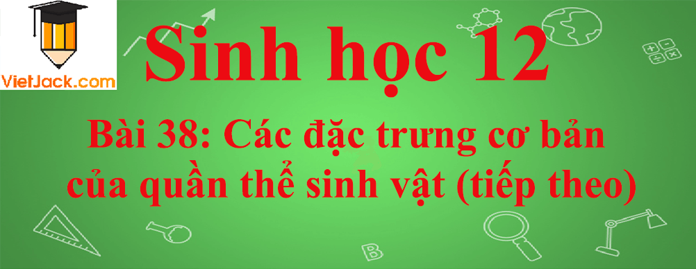 Sinh học lớp 12 Bài 38 (ngắn nhất): Các đặc trưng cơ bản của quần thể sinh vật (tiếp theo)