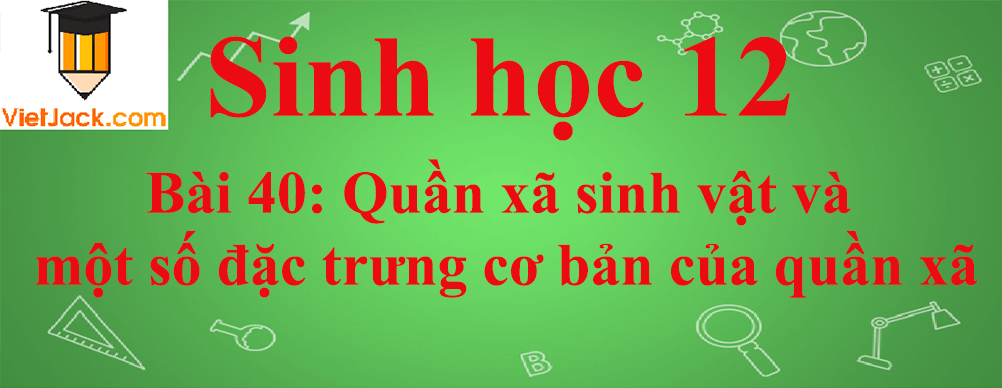 Sinh học lớp 12 Bài 40 (ngắn nhất): Quần xã sinh vật và một số đặc trưng cơ bản của quần xã