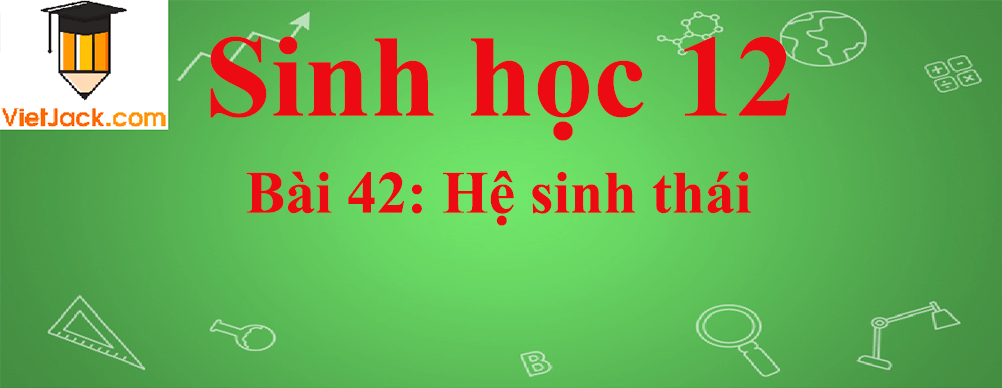 Sinh học lớp 12 Bài 42 (ngắn nhất): Hệ sinh thái