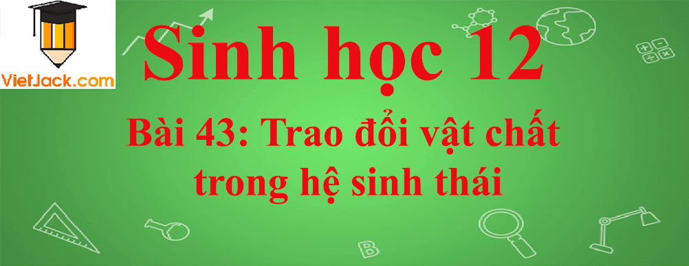 Sinh học lớp 12 Bài 43 (ngắn nhất): Trao đổi vật chất trong hệ sinh thái