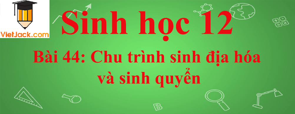 Sinh học lớp 12 Bài 44 (ngắn nhất): Chu trình sinh địa hóa và sinh quyển