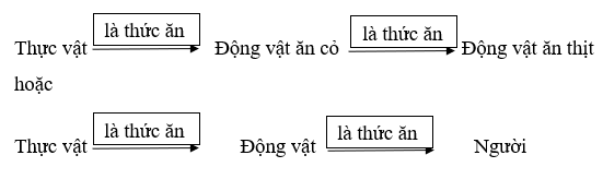 Giải bài tập Sinh học 6 | Để học tốt Sinh 6